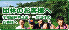 愛知県で人気のテーマパーク南知多グリーンバレイの団体のお客様ページ